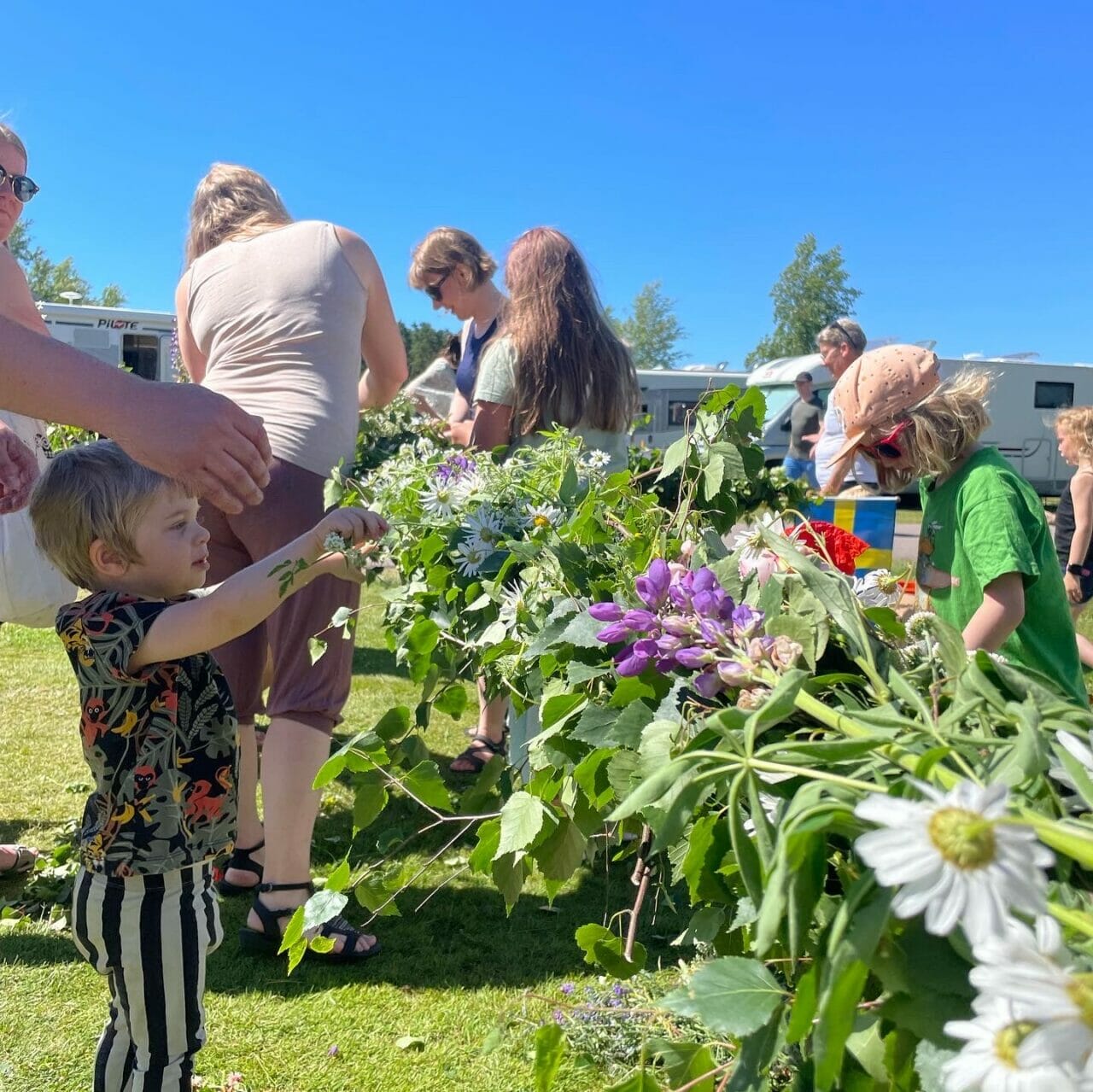 Midsommarfirande Klä midsommarstången Båstad Camping